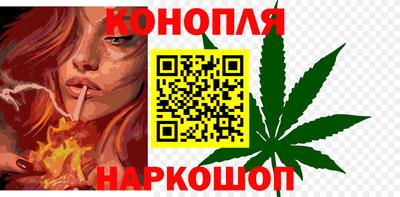 Альфа ПВП Сочи