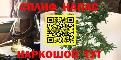 эйфоретик Сосновый Бор
